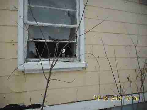 14377 Stout (16)_m.jpg